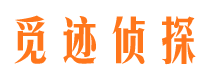 融安出轨调查